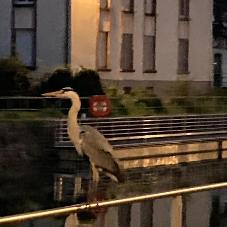 King Size Lounge 76m2 De Confort Au Centre *