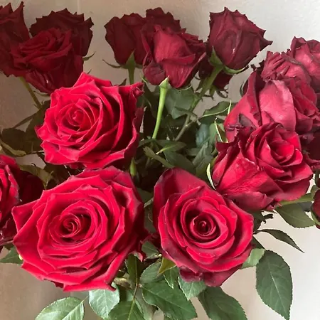 דירה King Size Lounge 76m2 De Confort Au Centre