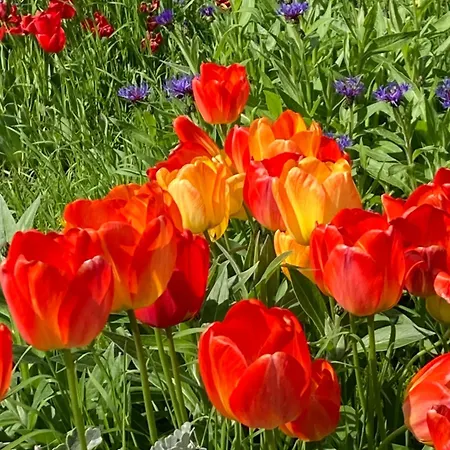 King Size Lounge 76m2 De Confort Au Centre מולהאוס